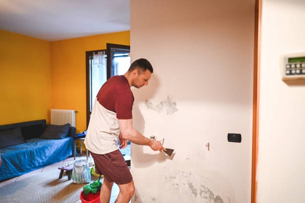 Best Mold Damage Repair  in Pleasant View, TN